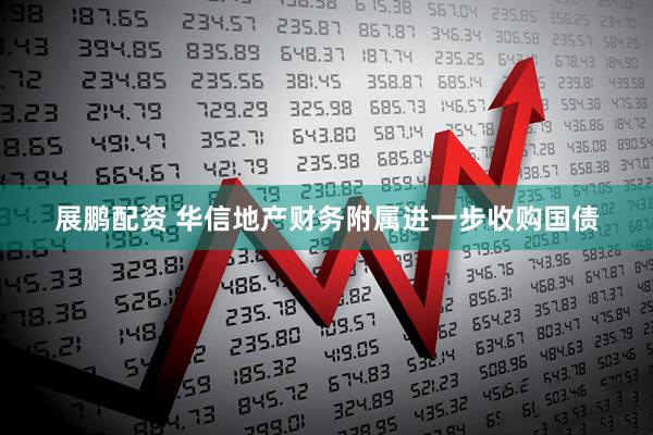 展鹏配资 华信地产财务附属进一步收购国债